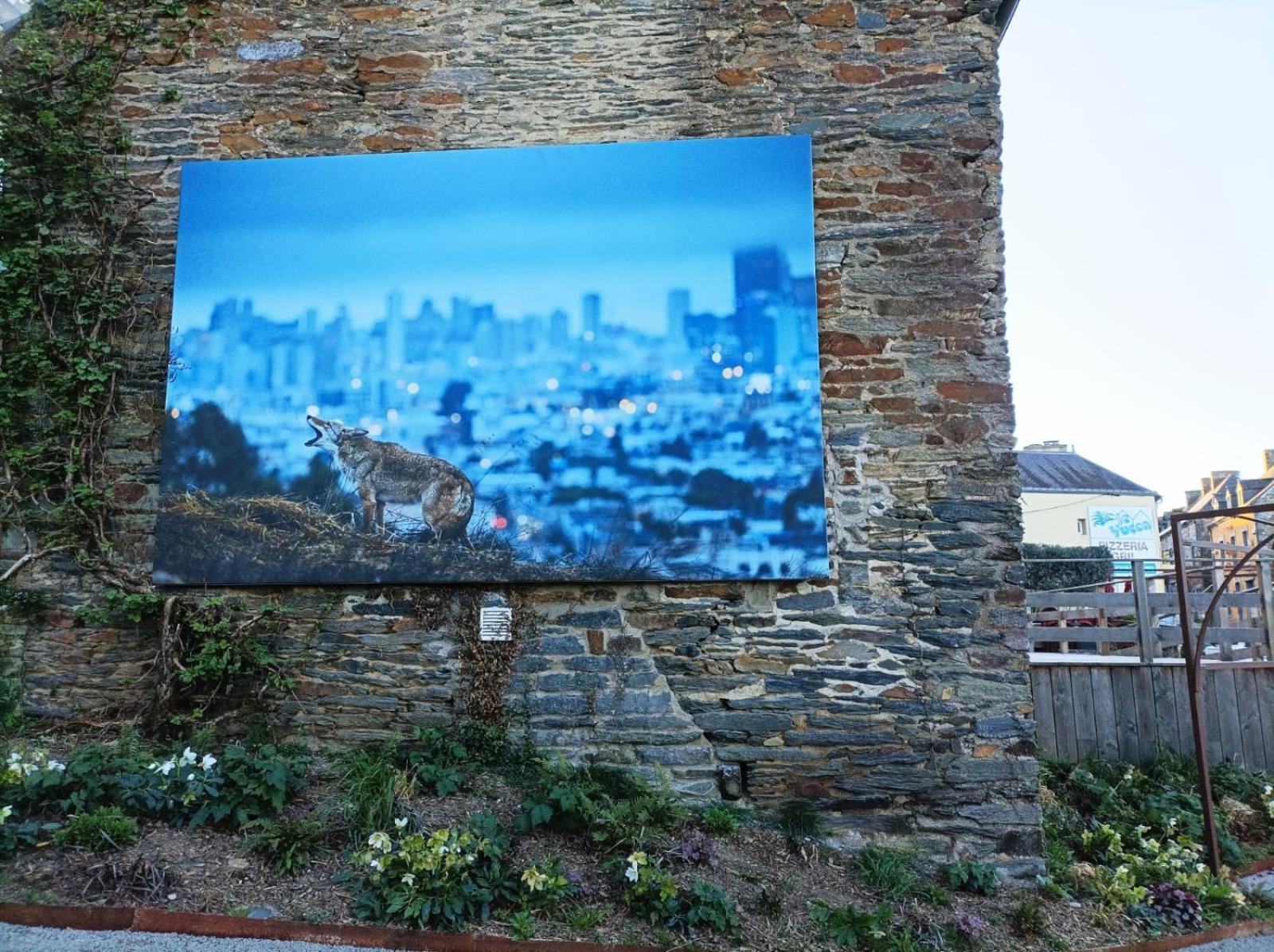 Gite De La Muse Centre Ville - Jardin Sérent エクステリア 写真