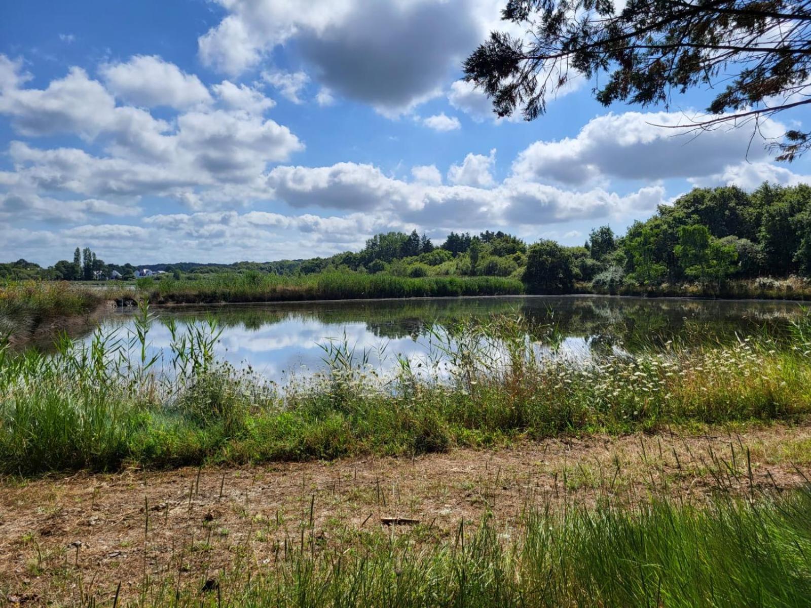 Gite De La Muse Centre Ville - Jardin Sérent エクステリア 写真